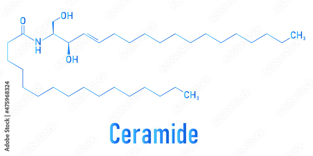 Ceramide cell membrane lipid molecule. Skeletal formula.