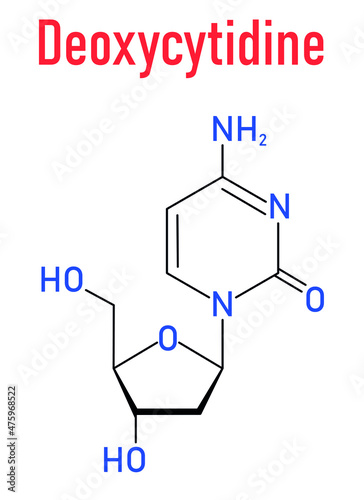 Deoxycytidine or dC nucleoside molecule. DNA building block. Skeletal formula. photo