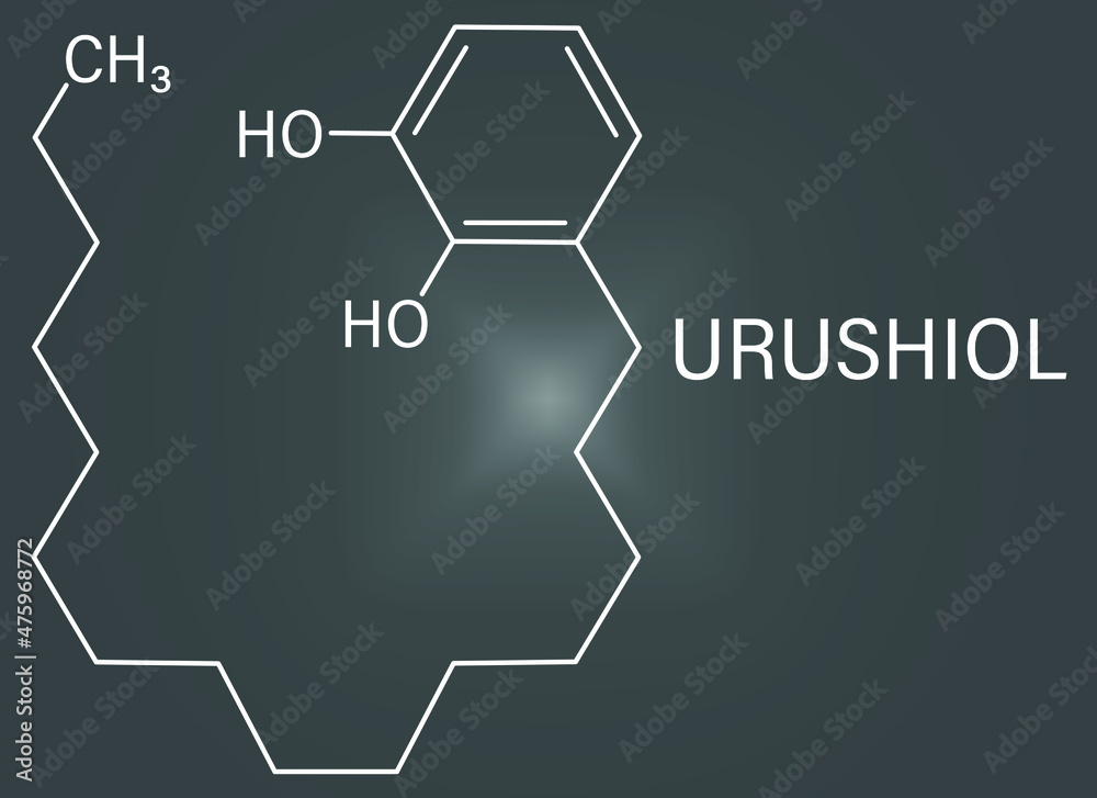 Urushiol poison ivy allergen molecule. Also present in poison oak
