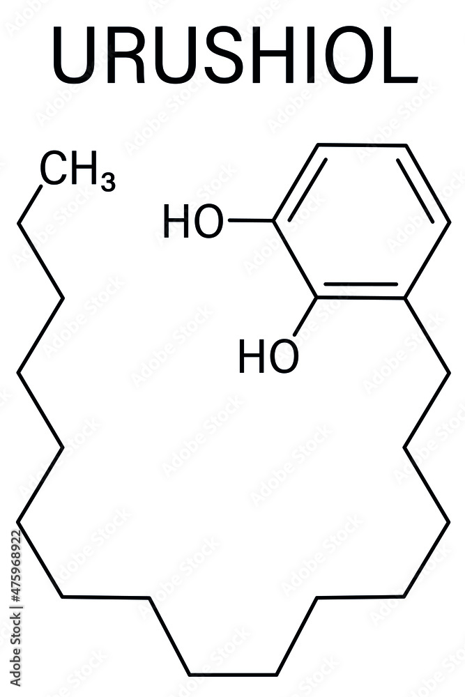 Urushiol poison ivy allergen molecule. Also present in poison oak