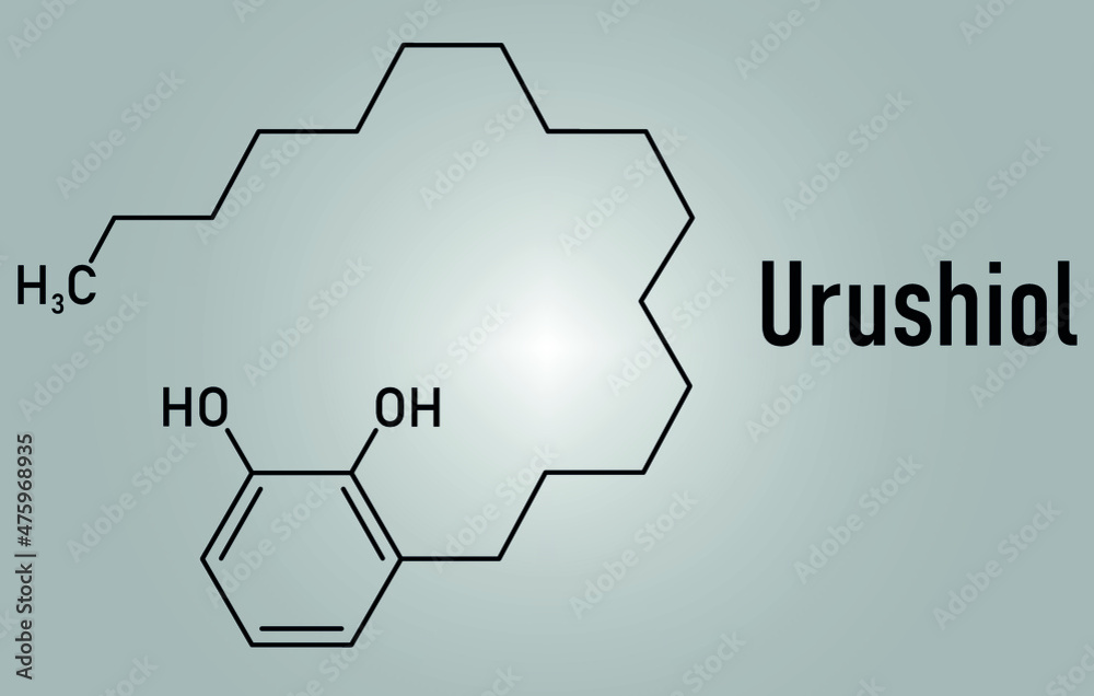Urushiol poison ivy allergen molecule. Also present in poison oak, lacquer tree and poison sumac
