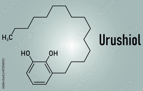 Urushiol poison ivy allergen molecule. Also present in poison oak, lacquer tree and poison sumac. Urushiol is a mixture of closely related components, only one of which is shown. Skeletal formula.