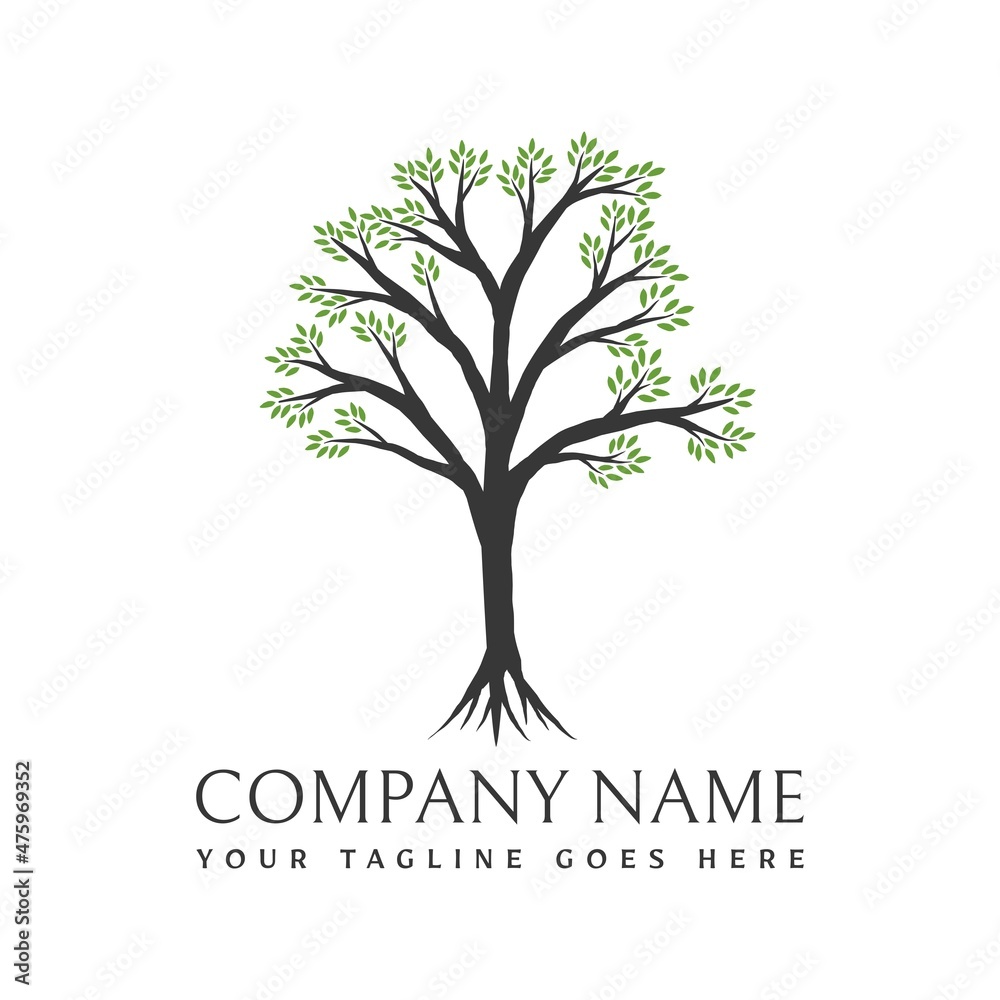 Obraz premium Tree logo design. Vector illustration of a tree with branching branches and green leaves