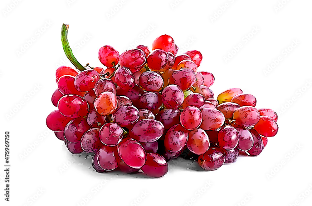 Grape Red with isolated white background
