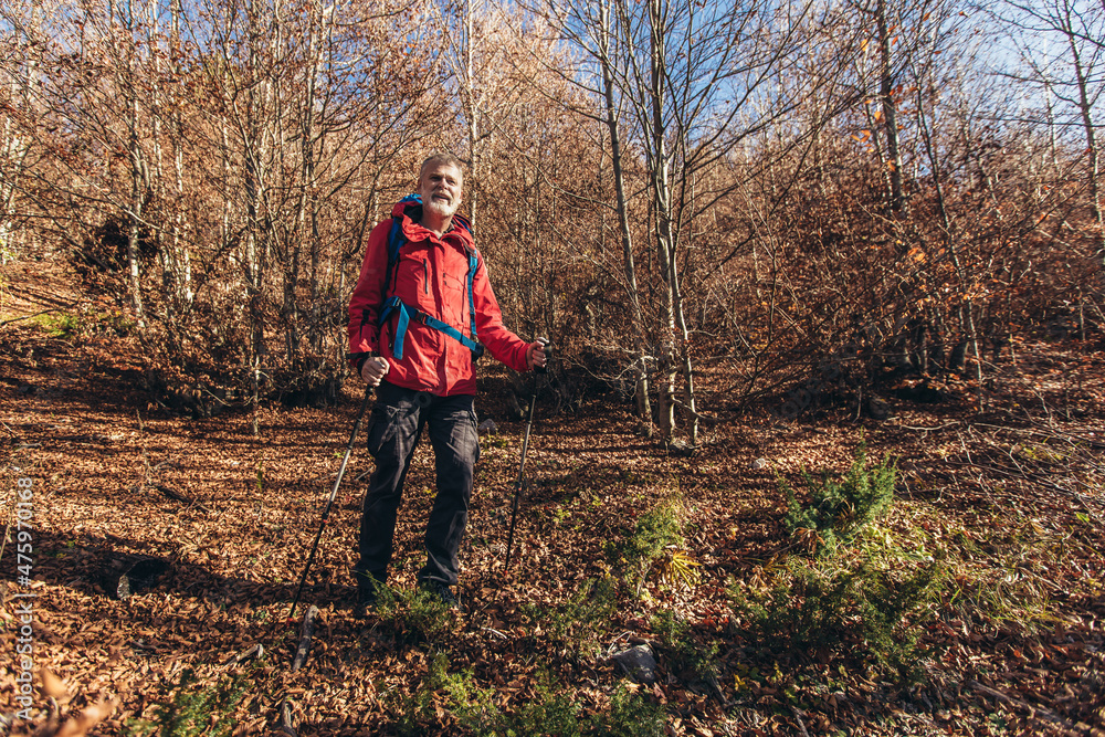 Mature man wearing backpack standing on autumn forest trail hiking alone Mature man wearing backpack standing on autumn forest trail hiking alone