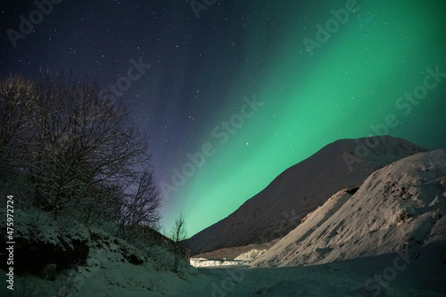 Beautiful Aurora Borealis green lights over a snowy mountain in Kvaloya, Arctic region, Norway photo