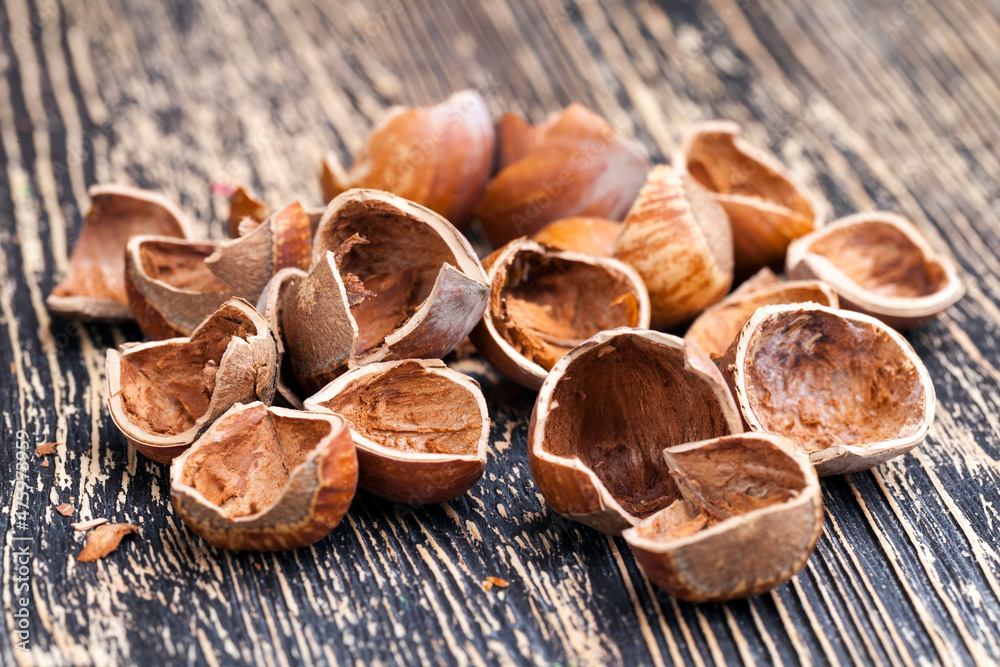 split hazelnuts on the table split hazelnuts on the table