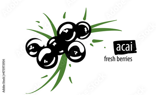 Drawn vector acai on a white background