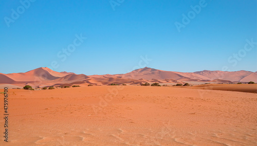 Panoromic view of sandy hills of red dunes and dead trees of Deadvlei valley in Sossusvlei area, Namib desert - Namibia, Africa