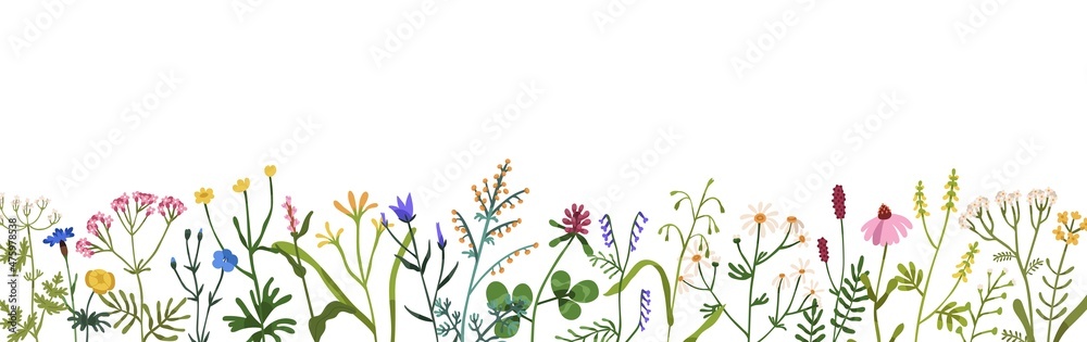 Floral border with spring wild flowers. Botanical banner with herbal plants, blooms for decoration. Delicate field and meadow wildflowers. Colored flat vector illustration isolated on white background - obrazy, fototapety, plakaty 