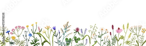Floral border with spring wild flowers. Botanical banner with herbal plants, blooms for decoration. Delicate field and meadow wildflowers. Colored flat vector illustration isolated on white background