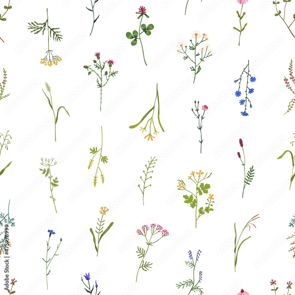 Wild flower pattern. Seamless background with repeating botanical print. Natural spring and summer herbs, floral herbal plants design for fabric and wrapping. Colored flat graphic vector illustration