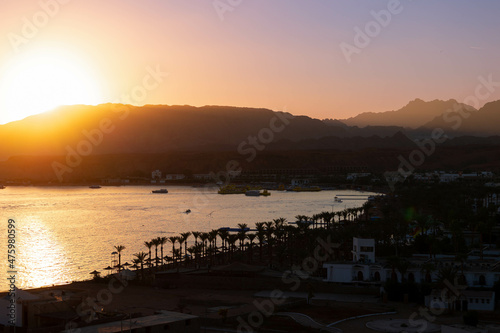 Aerial view at calm sea and mountains at sunset. Sandy beach with rocky coastline and palm trees. Beautiful landscape with horizont in summer evening rays, Sharm El Sheikh, Egypt, banner.
