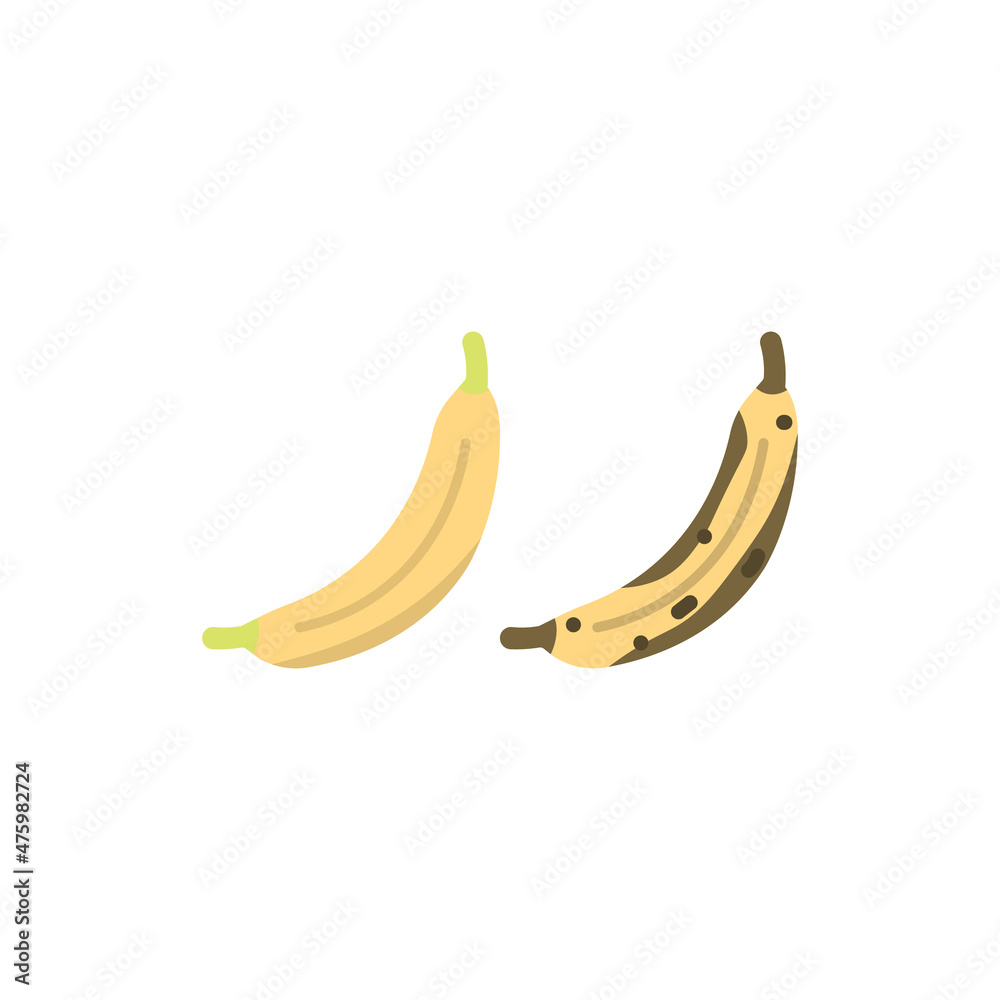 illustration of a banana that is still fresh and a banana that is rotten. fruit or food. flat cartoon style. vector design illustration of a banana that is still fresh and a banana that is rotten. fruit or food. flat cartoon style. vector design