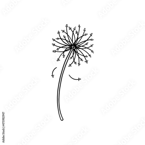 Cute dandelion floral plant with seeds in linear doodle style, vector illustration isolated on white background.