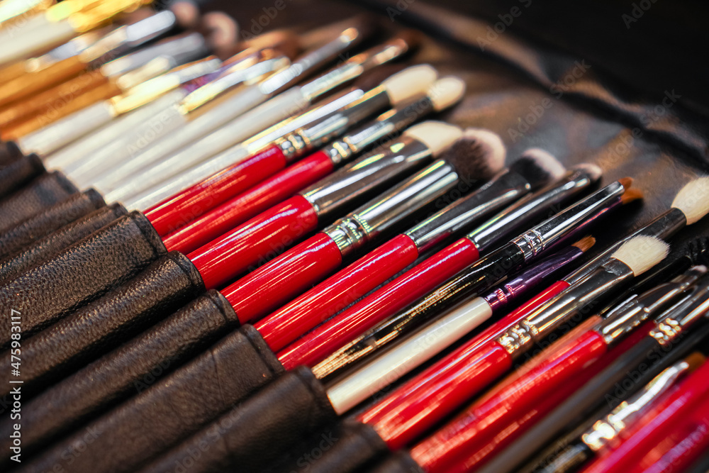 Set of makeup stylist brushes. Different makeup brushes in black leather case. Close up. Selective focus Set of makeup stylist brushes. Different makeup brushes in black leather case. Close up. Selective focus