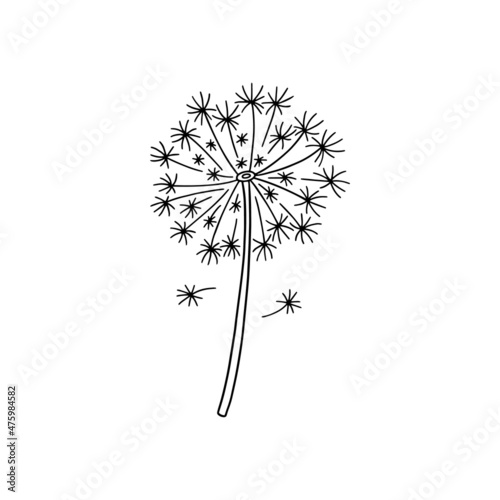 Dandelion hand drawn vector logo. Black and white fluffy spring flower drawing, isolated on white background.