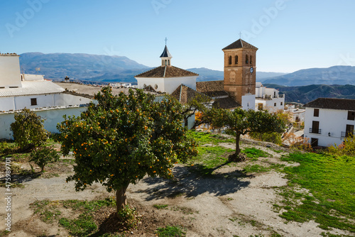 fruit trees in the village of Valor in the Alpujarra of Granada with the church in the background photo