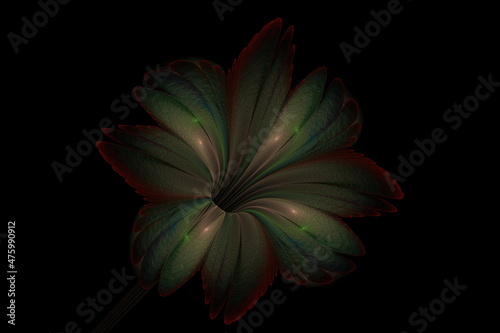 Beautiful abstract 3d colored flower  glowing flower petals on a black background. 3d render