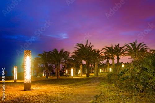 Parque con palmeras en la costa de Retamar, en El Toyo. photo