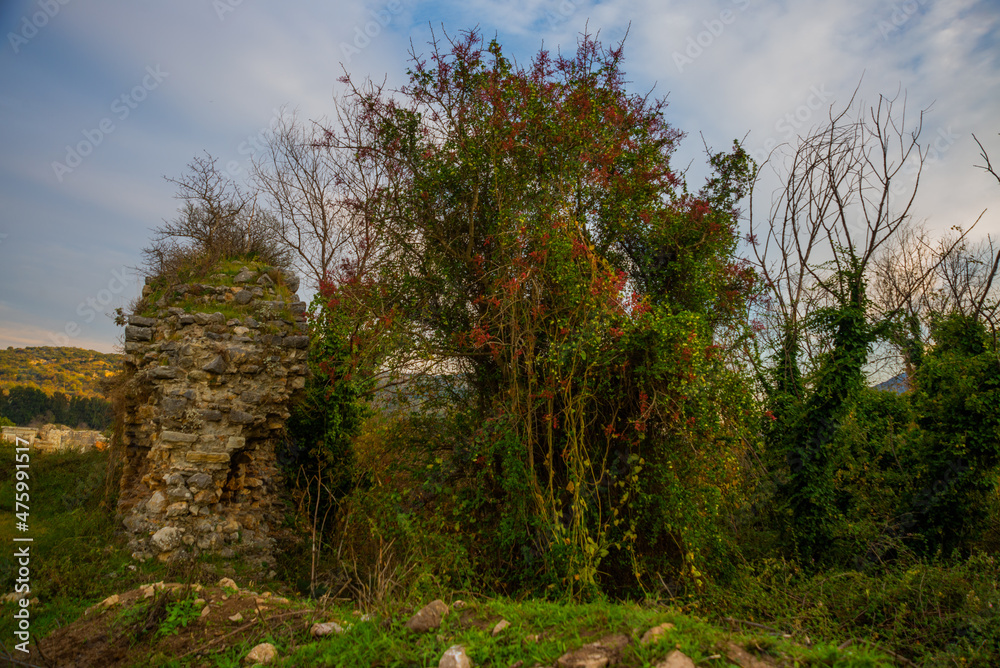 Obraz premium EPHESUS, TURKEY: Ruins of the ancient city of Ephesus in the Turkish city of Selcuk, Izmir province.