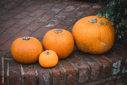 pumpkins on bricks