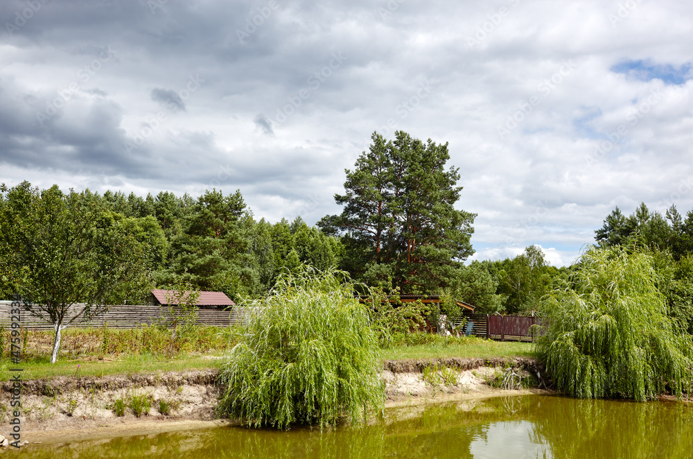 Decorative pond on backyard against a blue sky with clouds on a sunny day. Lake with vegetation - beautiful element landscape Decorative pond on backyard against a blue sky with clouds on a sunny day. Lake with vegetation - beautiful element landscape