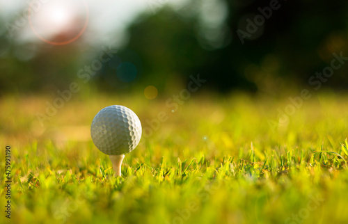 Golf ball with green grass close-up in soft focus at sunlight Stadium for golf club concept
