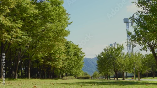 Misa Gyeongjeong Park green forest in Hanam, Korea photo