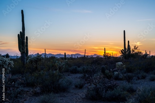 A beautiful overlooking view of nature in Tucson, Arizona © CheriAlguire