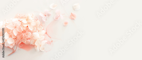 Creative image of pastel pink Hydrangea flowers on artistic ink background. Top view with copy space
