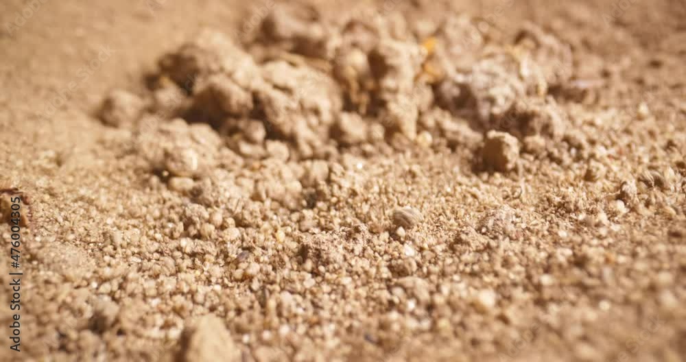 Soil stirring up while earthquake Soil stirring up while earthquake