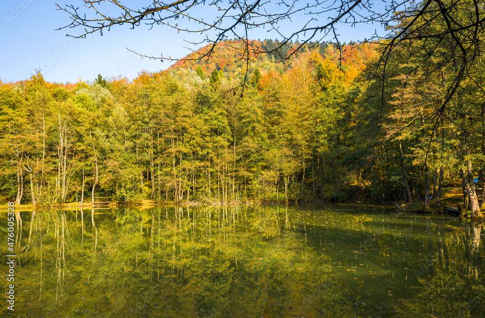 Autumn colors fishing pond, Slovenia