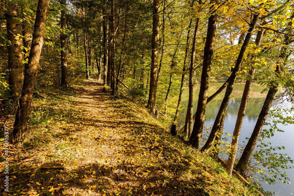 Autumn colors fishing pond hiking path, Slovenia Autumn colors fishing pond hiking path, Slovenia