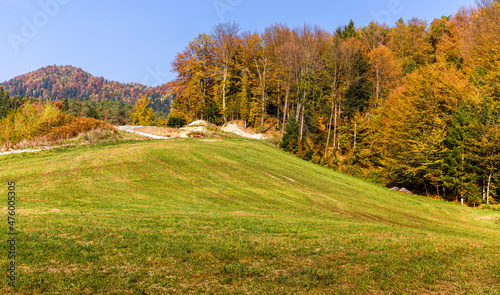 Autumn colors hills forest, Slovenia