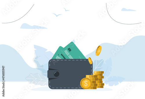 Wallet with credit cards and coins. Vector illustration in modern style on white background