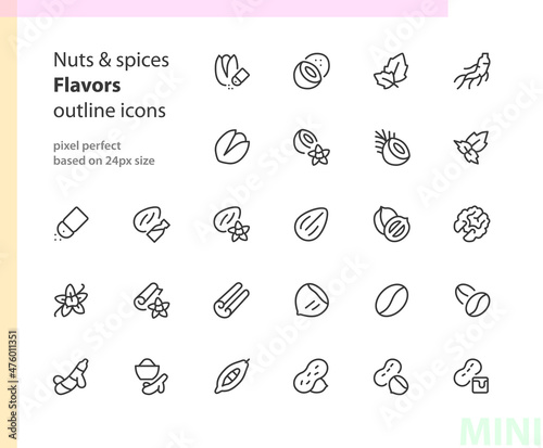 Nuts & spices flavors outline icons