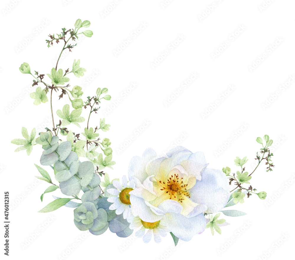 Obraz premium Floral arrangement, frame of white roses, eucalyptus branches, herbs, flowers and green leaves hand drawn in watercolor isolated on a white background. Watercolor floral illustration.