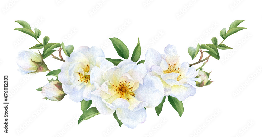 Fototapeta premium Floral garland of the white wild roses, buds and leaves hand drawn in watercolor isolated on a white background. Botanical illustration.