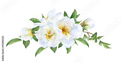 Cuadro en lienzo Floral garland of the white wild roses, buds and leaves hand drawn in watercolor isolated on a white background