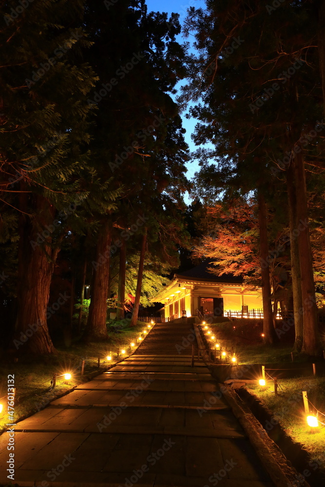 世界遺産　岩手県平泉町　中尊寺　紅葉のライトアップ