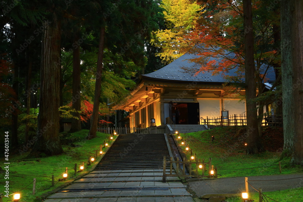 Obraz premium 世界遺産 岩手県平泉町 中尊寺 紅葉のライトアップ