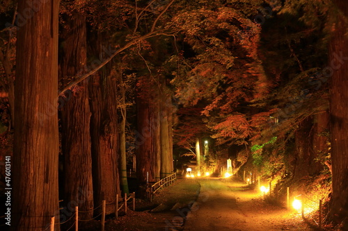 世界遺産 岩手県平泉町 中尊寺 紅葉のライトアップ