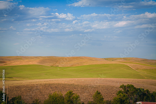 landscape with field and blue sky