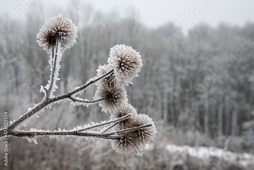 Beautiful frosty winter landscape in the Wienerwald photo