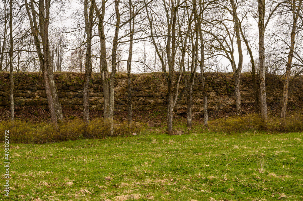Fototapeta premium the remains of the fortress wall. Kremlin. earthen rampart from the old fortress wall