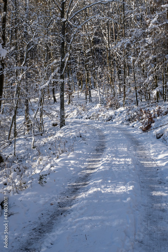 View along a snow-covered forest path in the Taunus / Germany on a sunny winter day  © fotografci