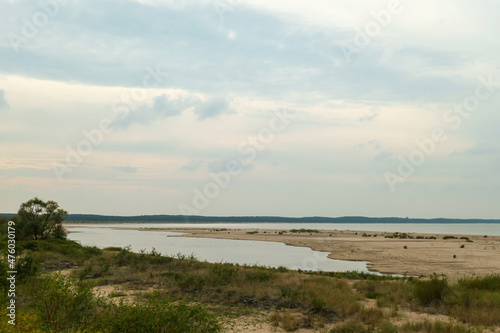 The coastal line of a sandy beach by the Baltic Sea on Sobieszewo Island, Poland, overgrown with high grass and bushes. A small pond next to the shore.The sea is gently waving. A bit of overcast.