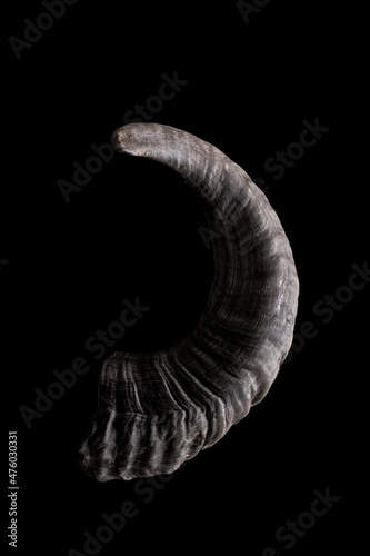 Big and curved ram horn isolated on a black background. Satanic, occult symbol. ..