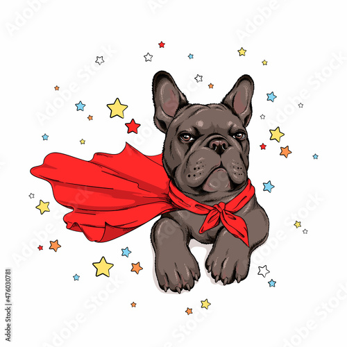 Cute french bulldog in superhero cape.  Stylish image for printing on any surface